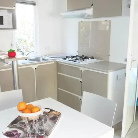 Zecamping 3 Etoiles Pet Friendly Locatif Tv 24m2 4 Pers 3*
