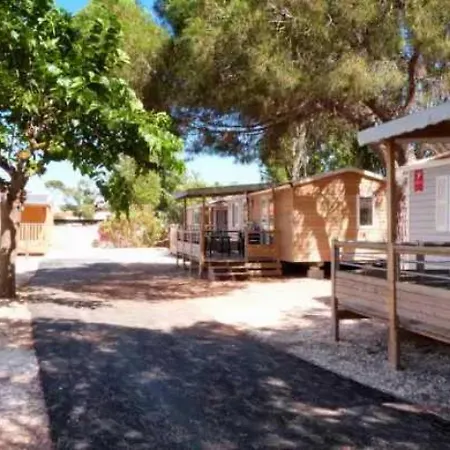 Zecamping 3 Etoiles Pet Friendly Locatif Tv 24m2 4 Pers Hyères