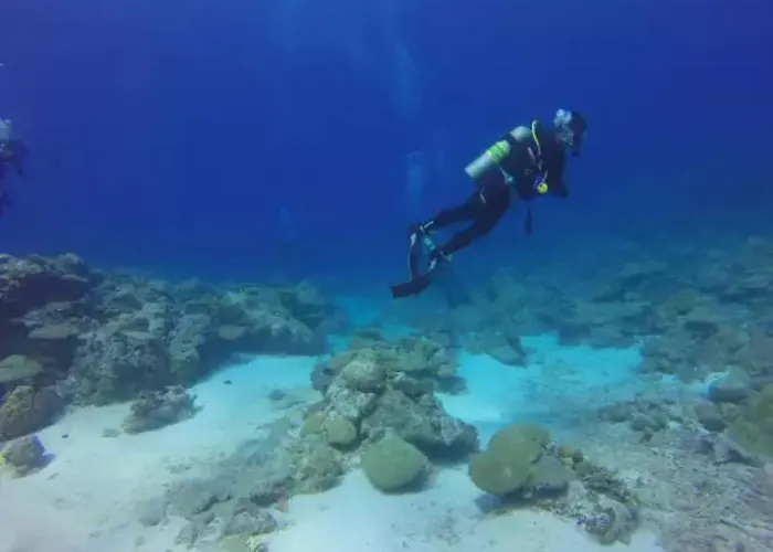 Campeggio - Eebaeb *